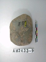 藏品(大型磨製石斧殘件)的圖片